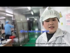 Niestandardowy przełącznik membranowy PET do urządzeń medycznych i zastosowań przemysłowych